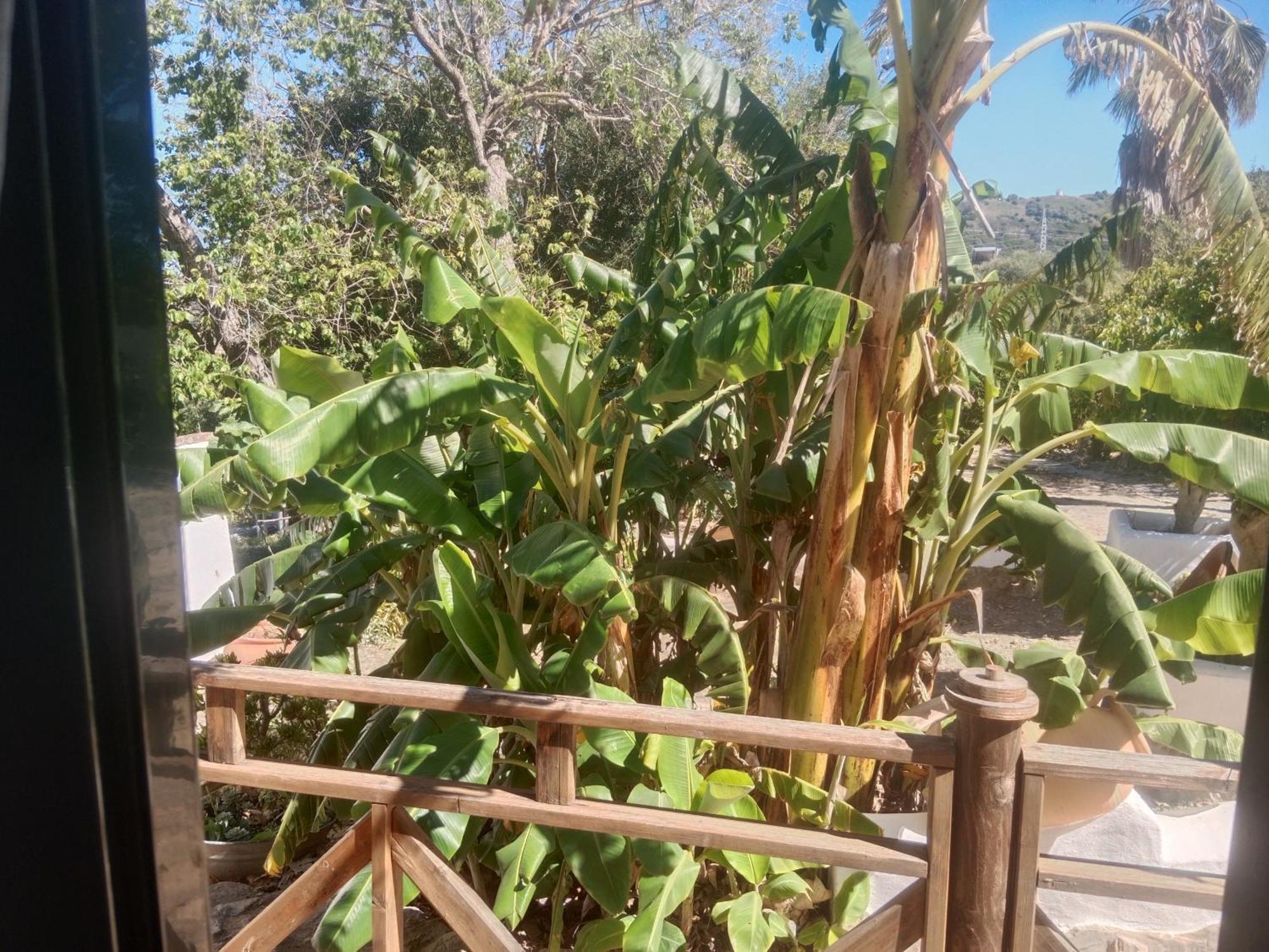 Casa Rural El Cubillo Vejer de la Frontera Exteriér fotografie